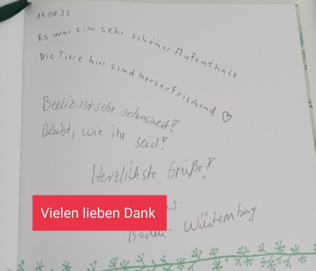 Ferienzimmer Waldzauber Borkwalde Dış mekan fotoğraf